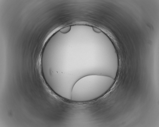 X0000115591198200911100924
