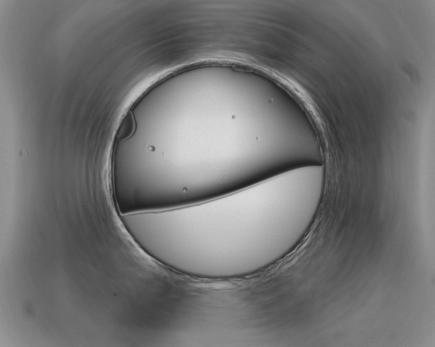 X0000115591199200911100924