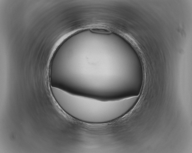 X0000115591200200911100924