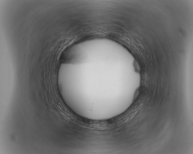X0000115591201200911100924