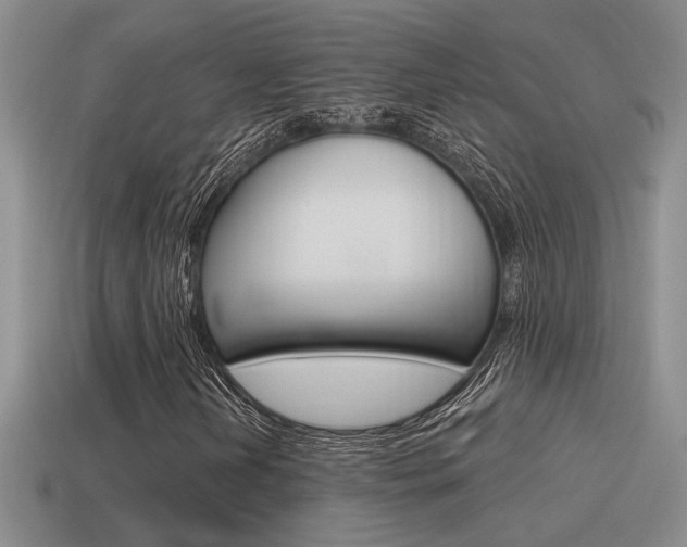 X0000115591202200911100924