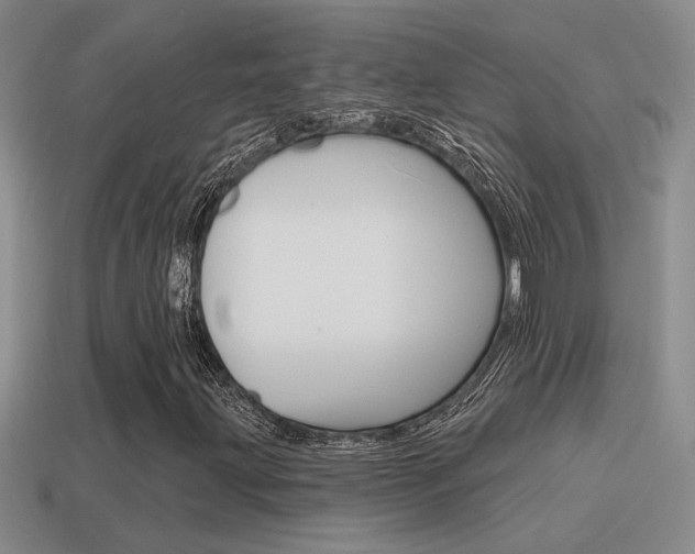X0000115591203200911100924