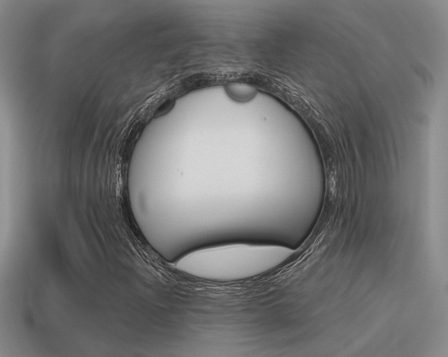 X0000115591204200911100924