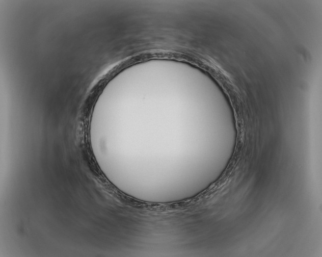 X0000115591208200911100924