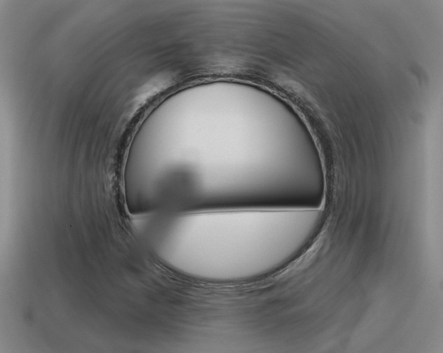 X0000115591210200911100924