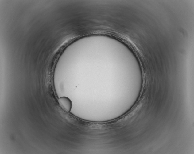 X0000115591211200911100924