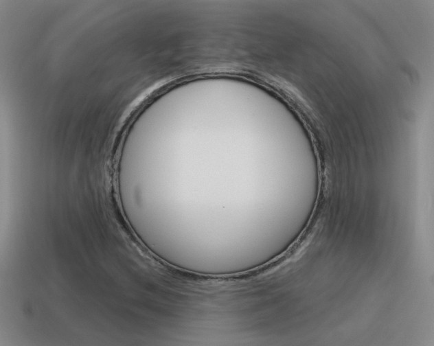 X0000115591212200911100924