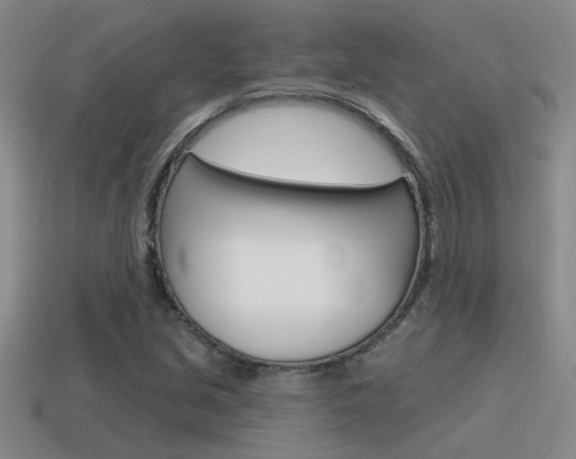 X0000115591213200911100924