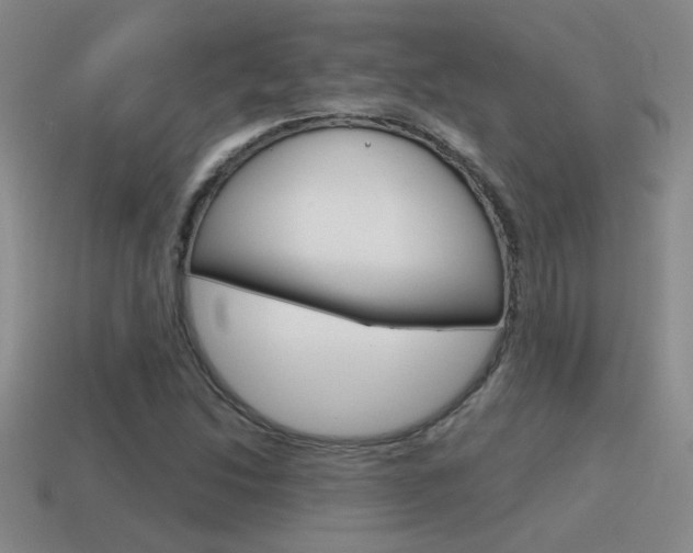 X0000115591214200911100924