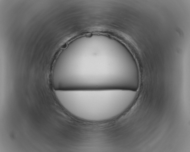 X0000115591217200911100924