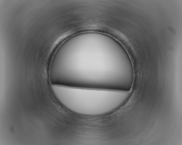 X0000115591218200911100924