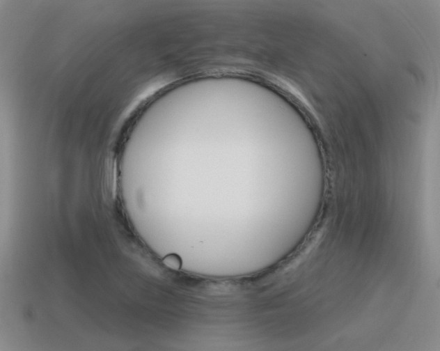 X0000115591219200911100924