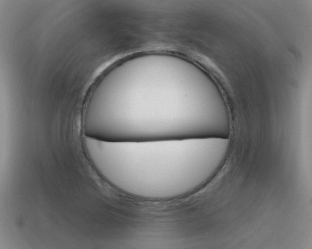 X0000115591220200911100924