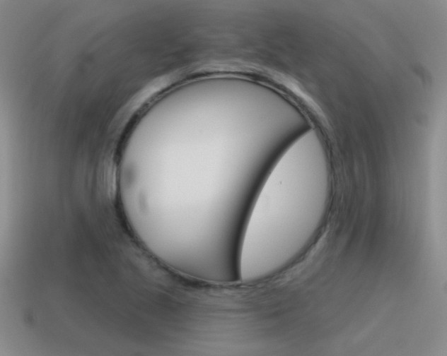 X0000115591221200911100924