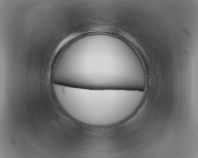 X0000115591222200911100924