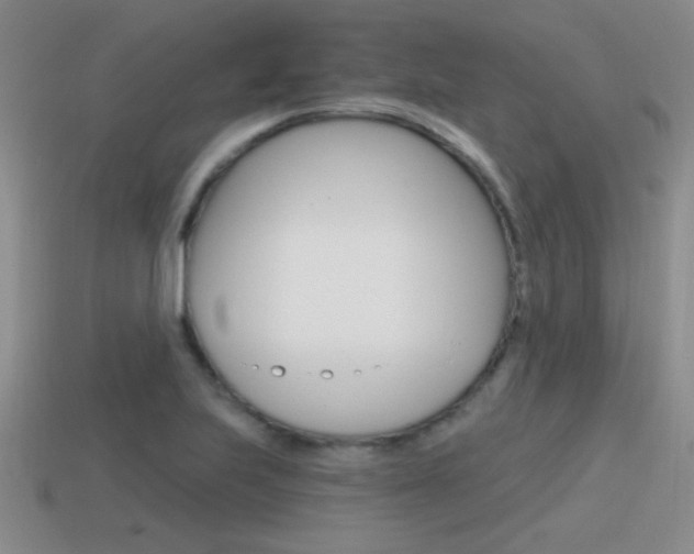 X0000115591223200911100924