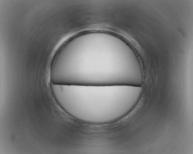 X0000115591224200911100924