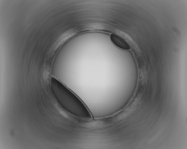 X0000115591225200911100924