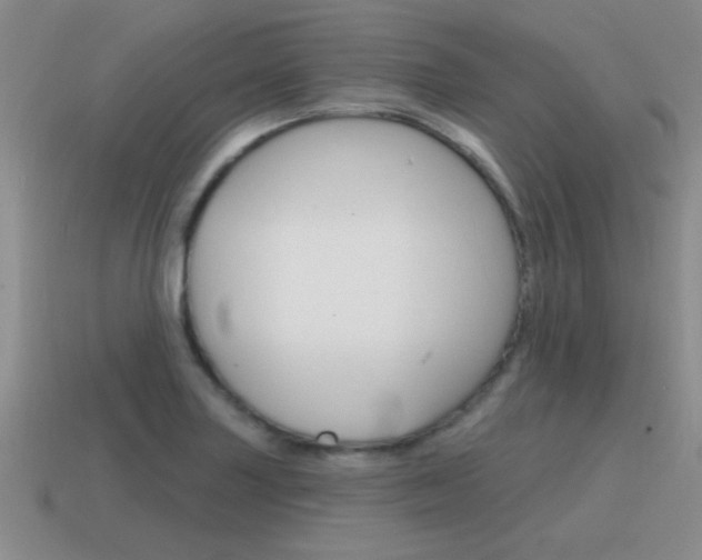 X0000115591227200911100924