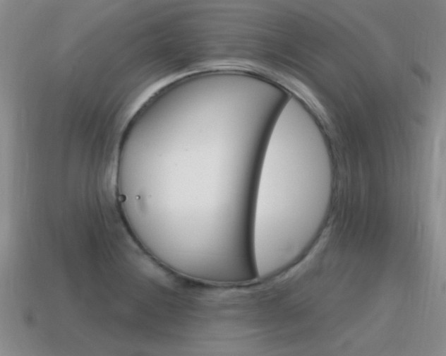 X0000115591228200911100924
