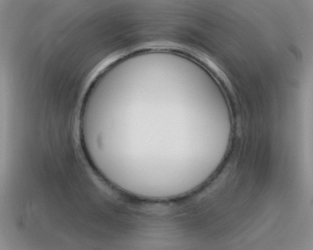 X0000115591229200911100924