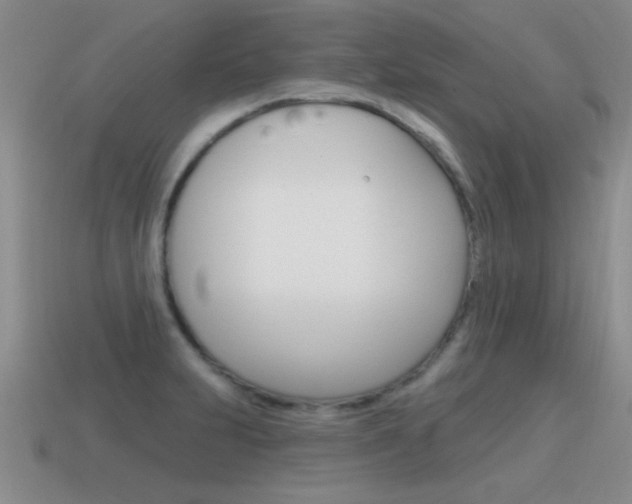 X0000115591231200911100924