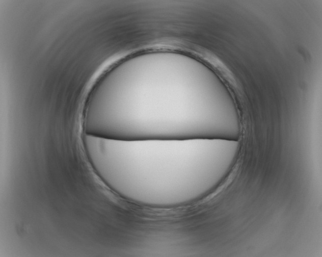 X0000115591232200911100924