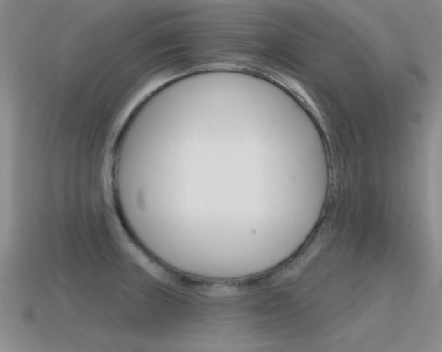 X0000115591235200911100924