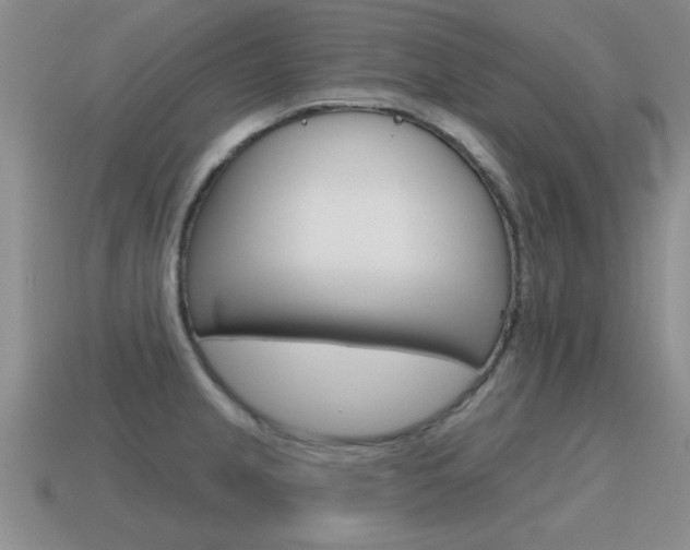 X0000115591237200911100924