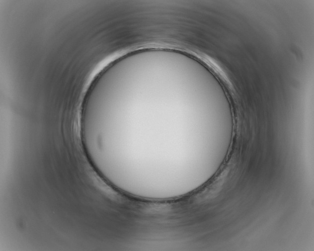X0000115591238200911100924