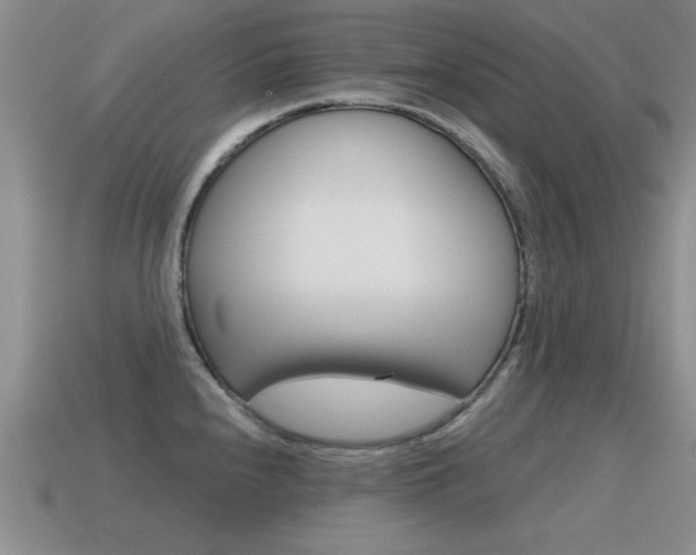 X0000115591240200911100924