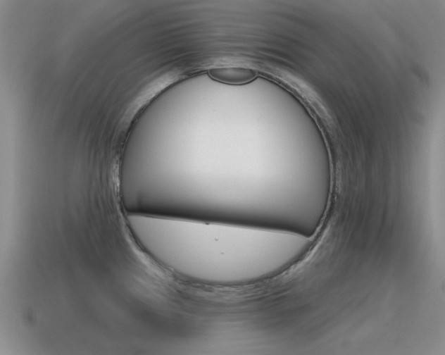 X0000115591241200911100924