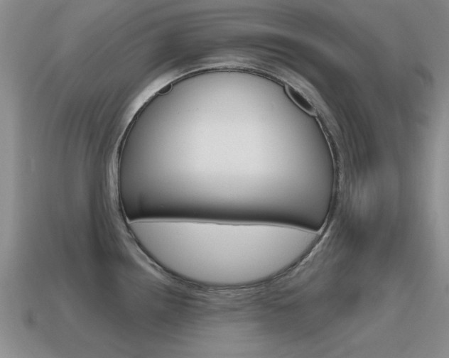 X0000115591242200911100924