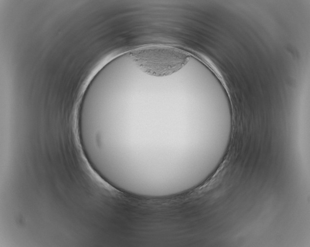 X0000115591243200911100924