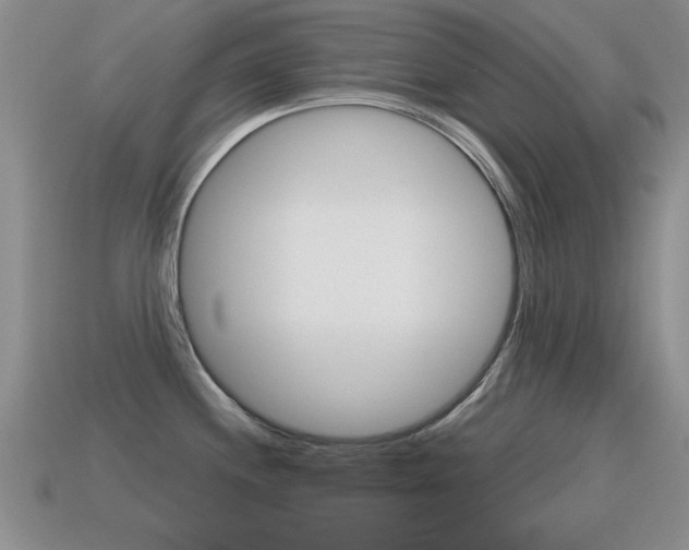 X0000115591244200911100924