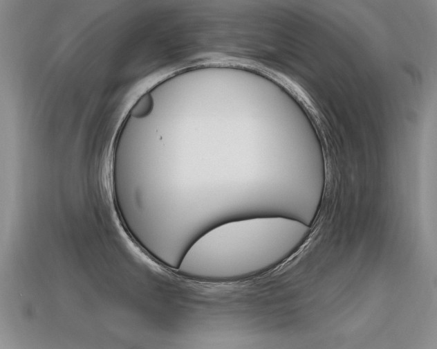 X0000115591247200911100924