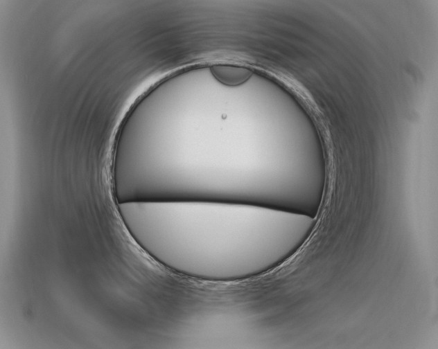X0000115591248200911100924