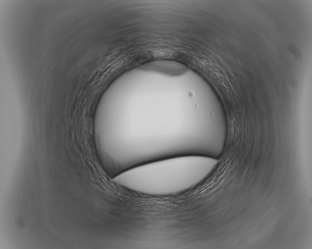 X0000115591249200911100924