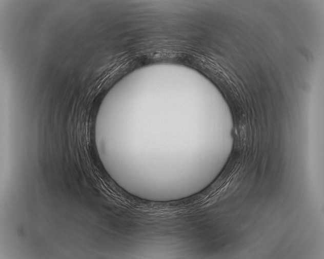 X0000115591250200911100924