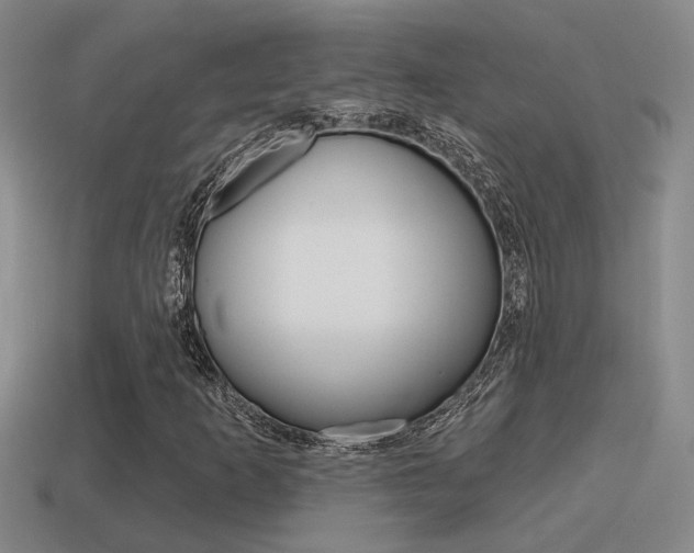 X0000115591253200911100924