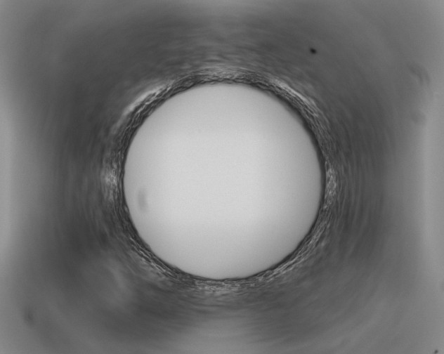 X0000115591254200911100924