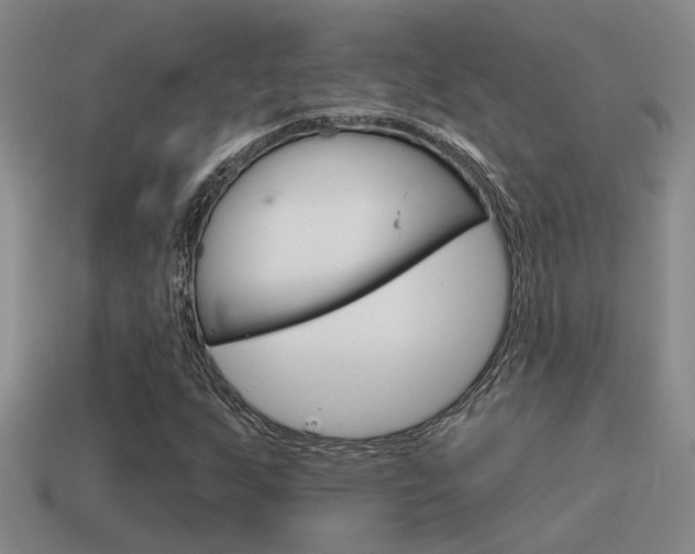 X0000115591255200911100924