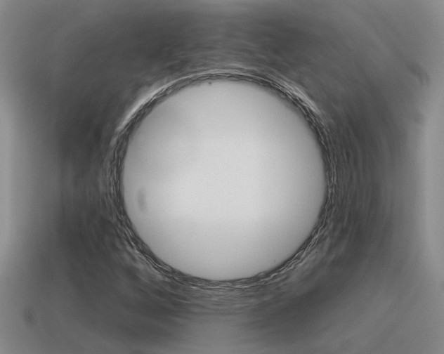 X0000115591256200911100924