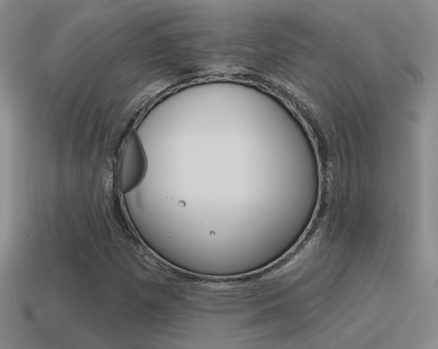 X0000115591257200911100924