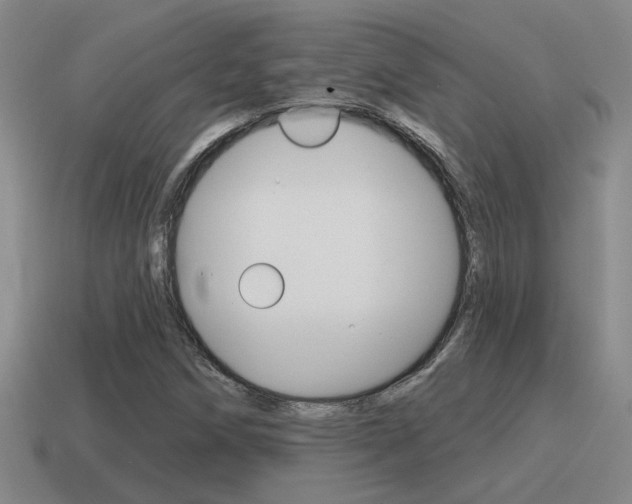X0000115591258200911100924