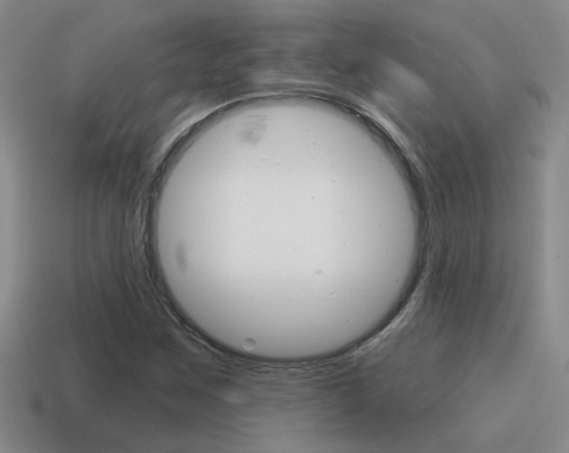 X0000115591259200911100924