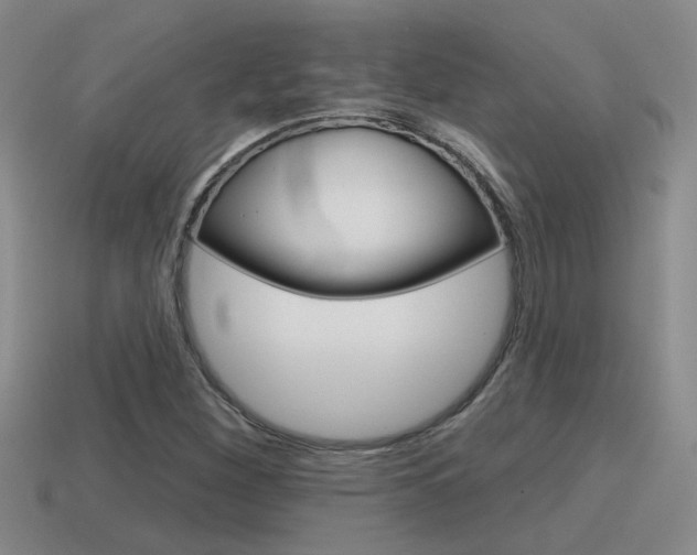 X0000115591260200911100924