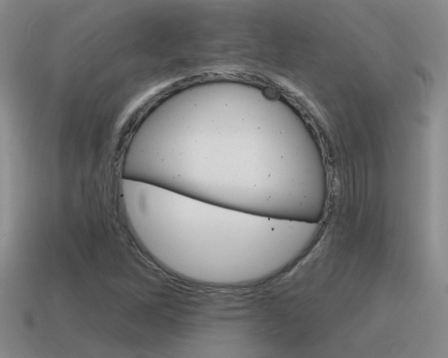 X0000115591262200911100924