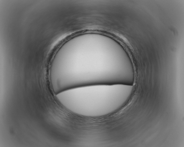 X0000115591263200911100924