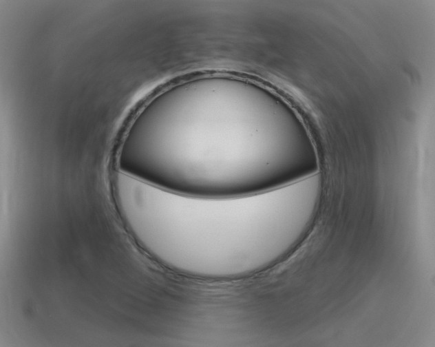 X0000115591264200911100924